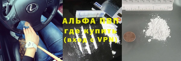 сатива Нягань