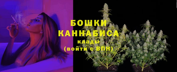 крисы Нязепетровск