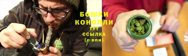 мет Няндома