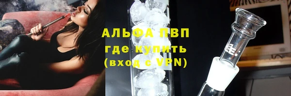 гашик Осташков