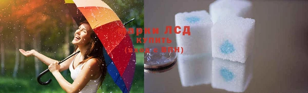 гашик Осташков