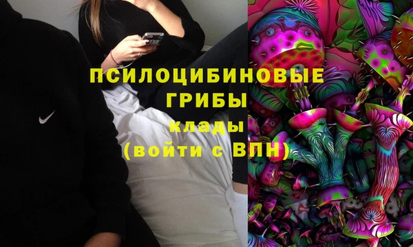 крисы Нязепетровск