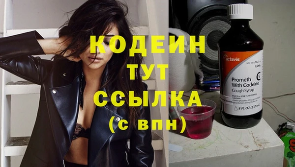 трава Осинники