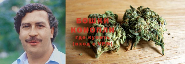 мет Няндома